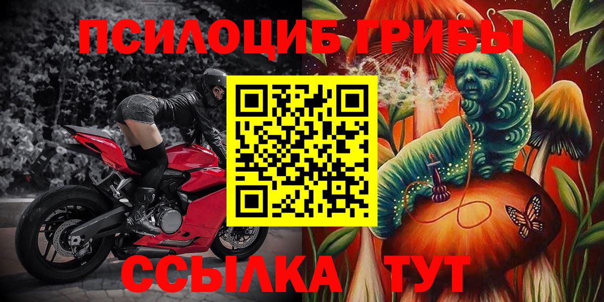 Семёнов  Псилоцибиновые грибы ЛСД  Вход с VPN 